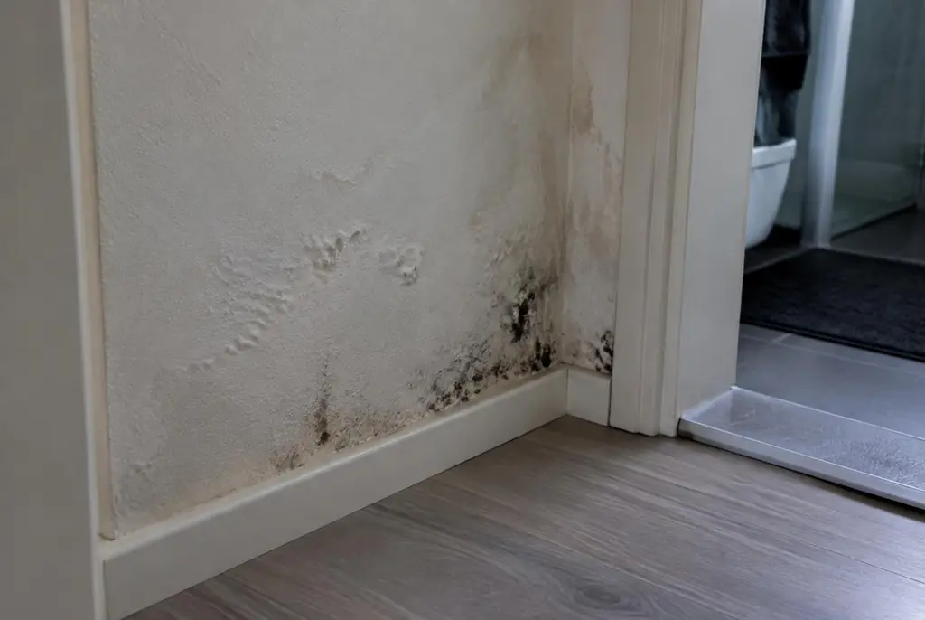 Lekdetectie Moordrecht – vochtplek met schimmel op een muur